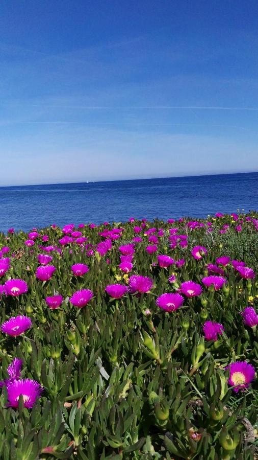 Hébergement de vacances Casa Entre Mar Y Montana *